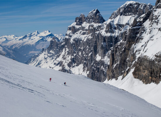 Freeride 3