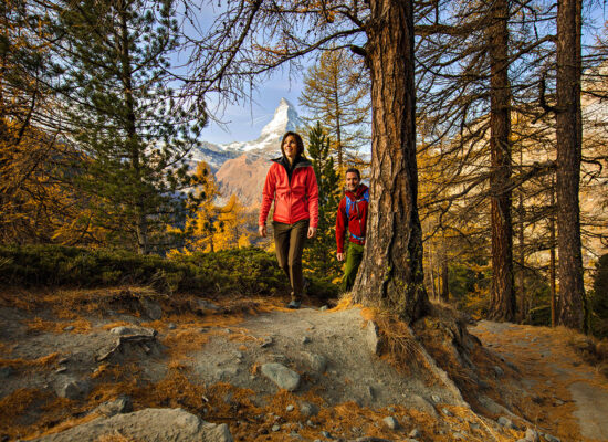 Fall Hiking in Zermatt through the Trees